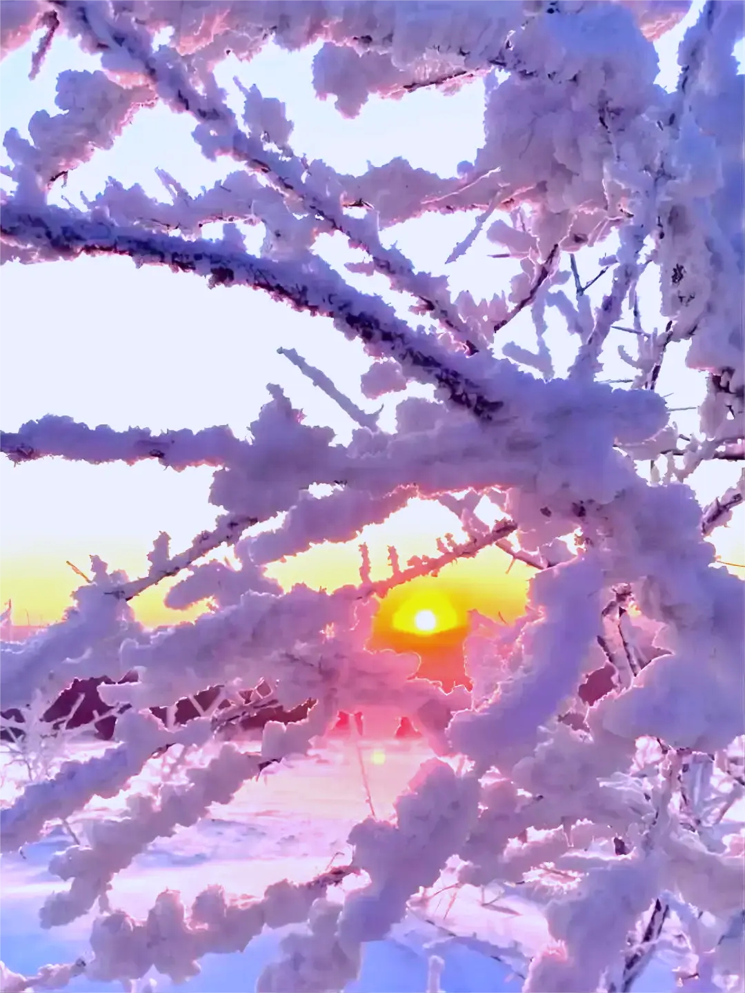 Yangcao Mountain Sunrise Watching