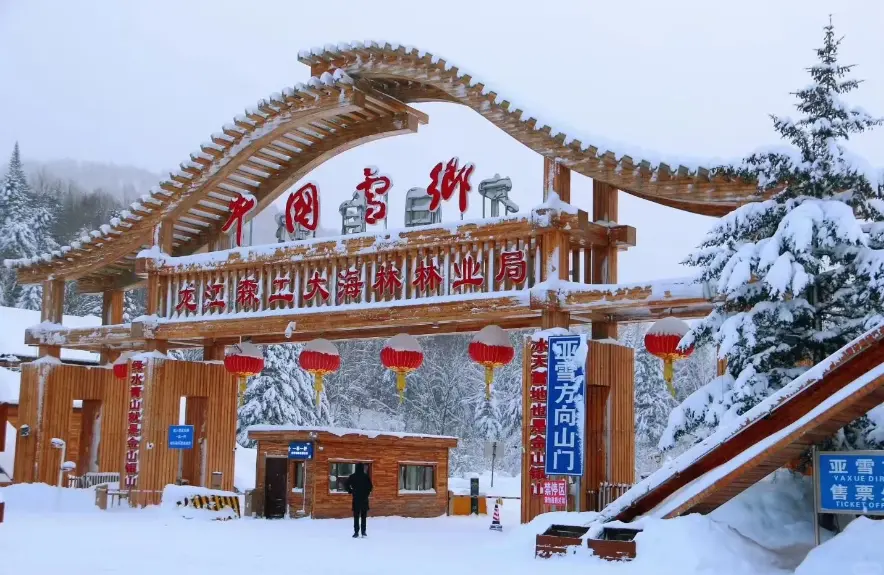2-Day Harbin Snow Town Tour: Where Snowy Dreams Meet City Heritage