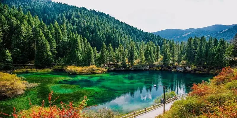 Waterfall & Alpine Hot Spring Retreat in Munigou Valley