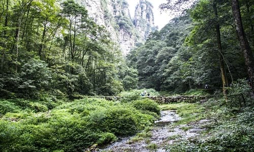 Golden Whip Stream – Valley Hike