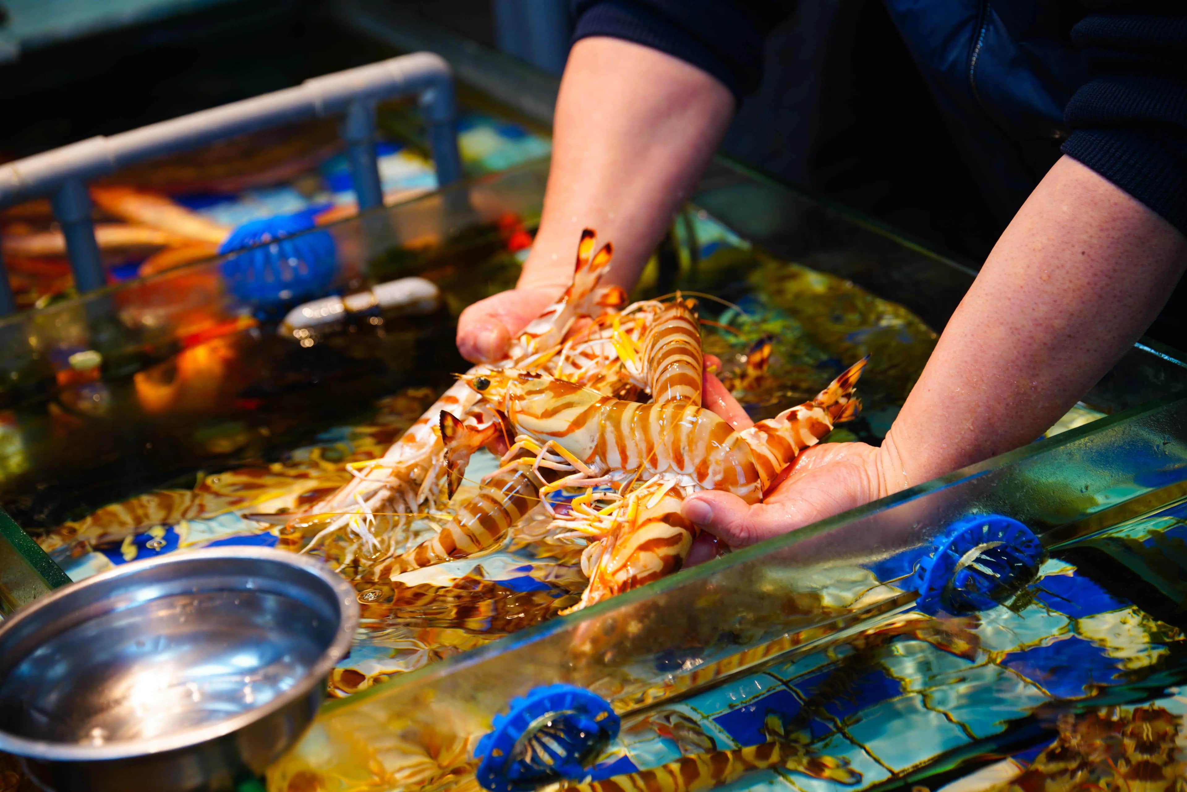 3-Day Xiamen & Fujian Tulou Tour: Coastal Charm, Hakka Heritage & Local Life