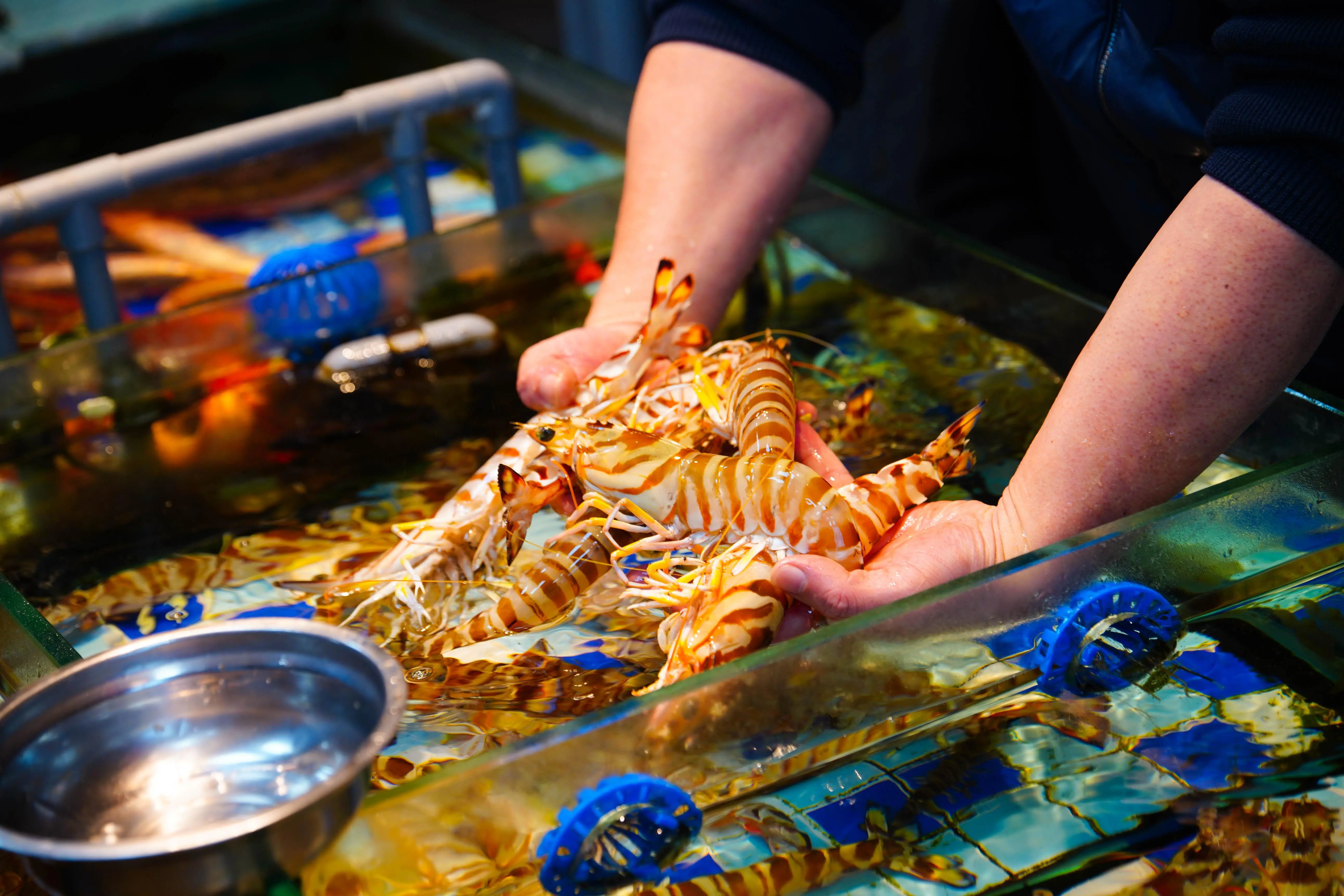 3-Day Xiamen & Fujian Tulou Tour: Coastal Charm, Hakka Heritage & Local Life