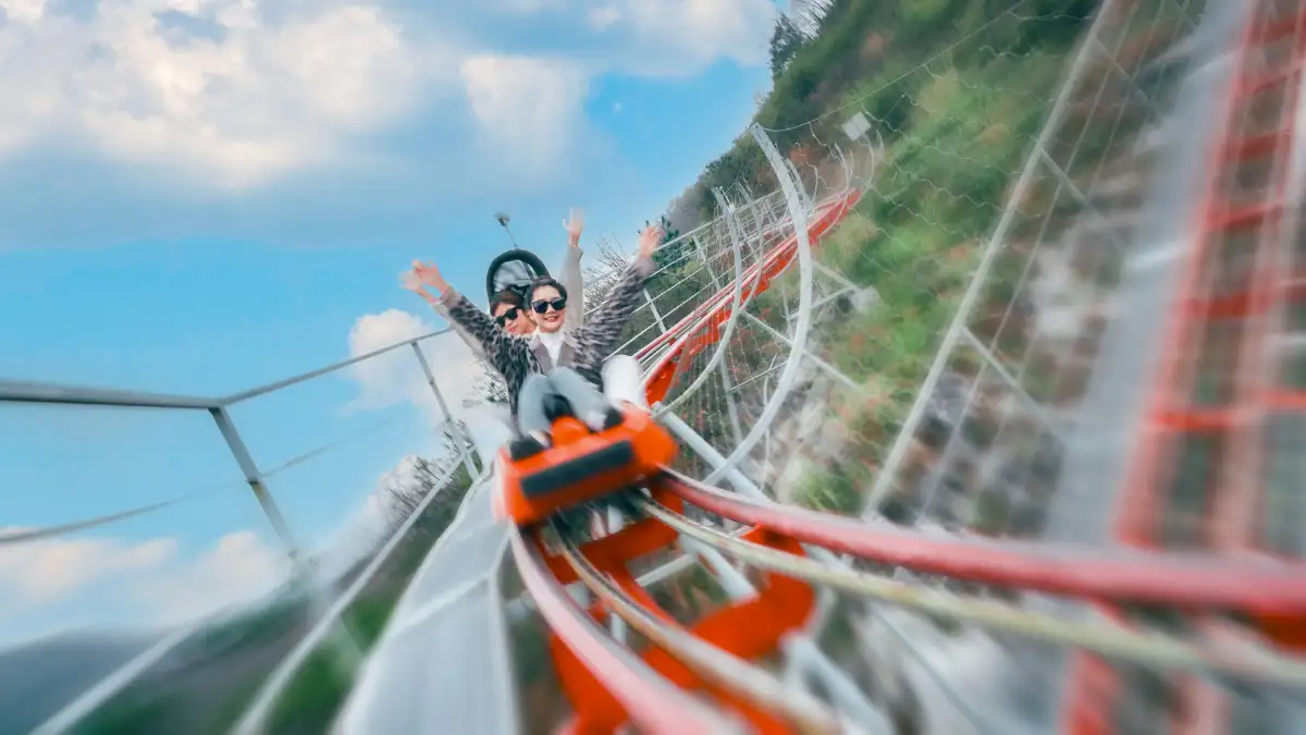 Alpine Track Slide – Treetop Rush