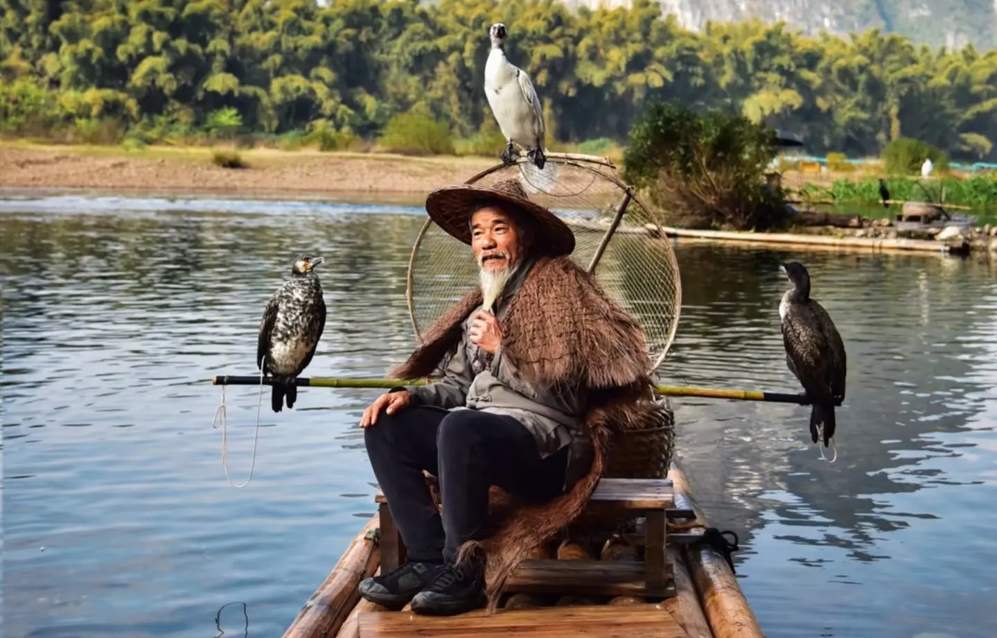 Traditional Cormorant Fishing Demonstration