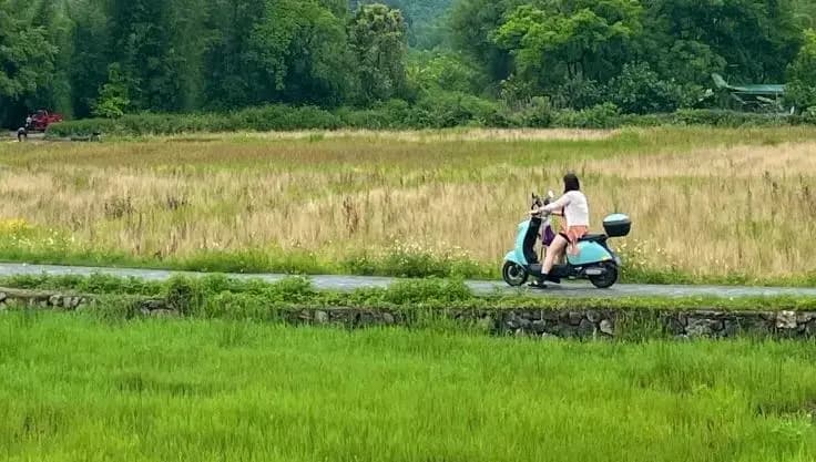Ten-Mile Gallery Countryside Breeze Ride