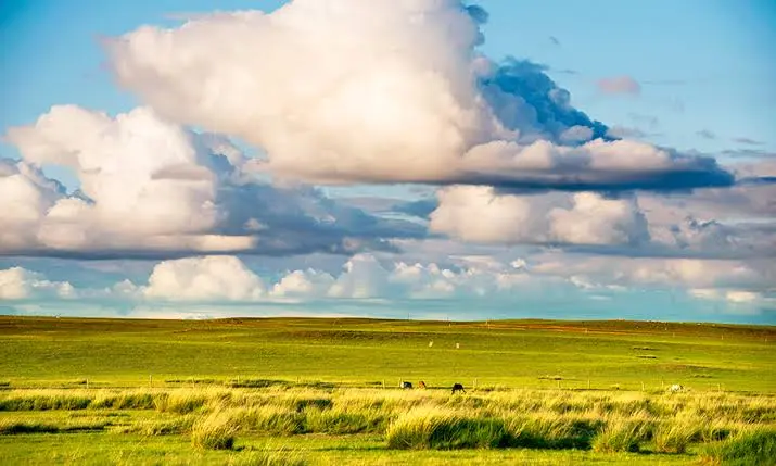 Xilamuren Grassland
