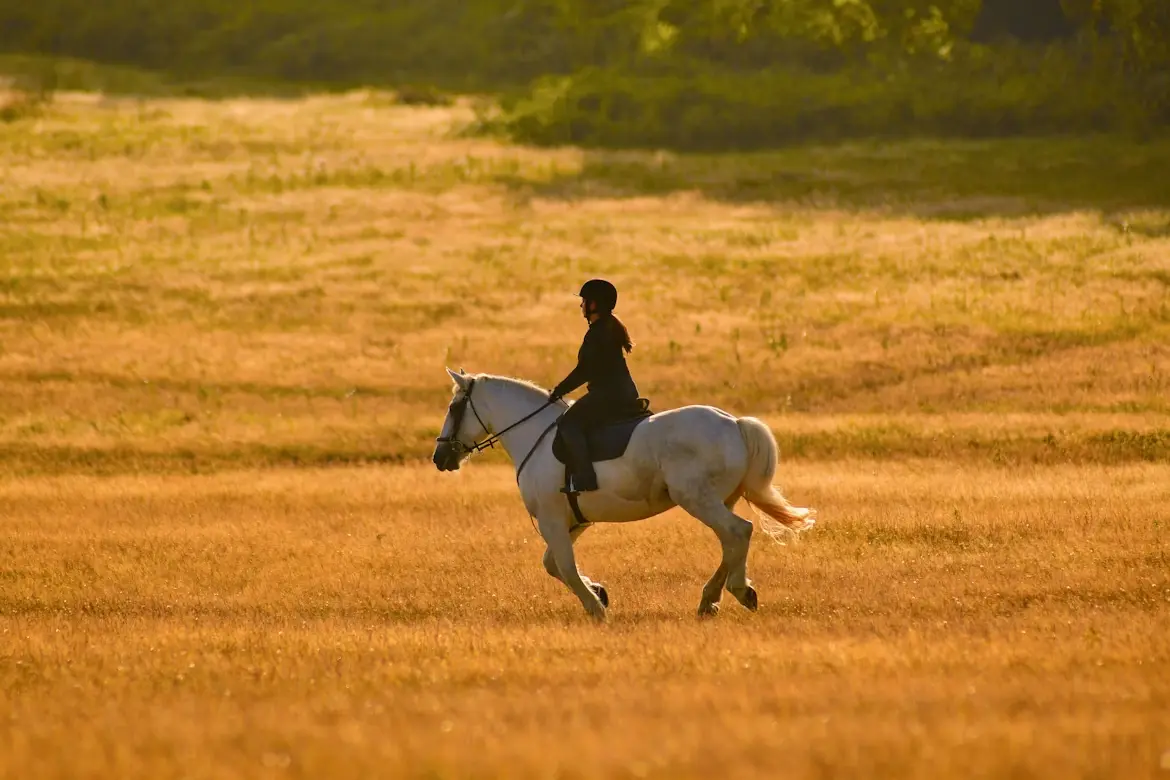 Xilamuren Grassland Horse Riding Experience