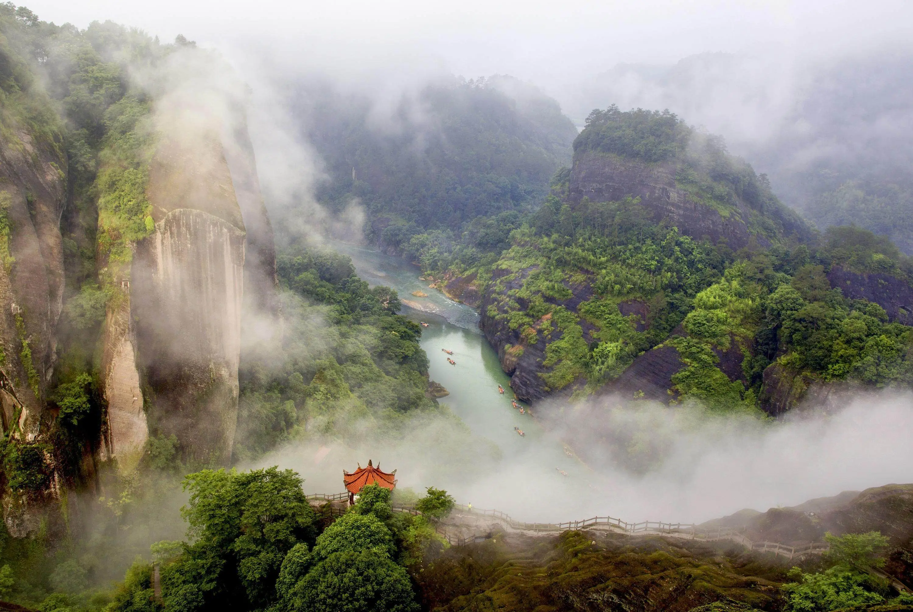 Authentic Wuyi Mountain Village Discovery & Tea Culture Experience
