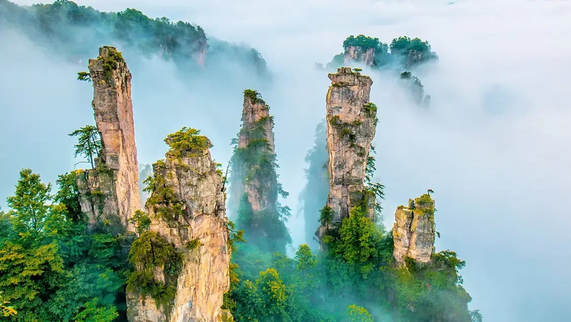 Zhangjiajie National Forest Park5