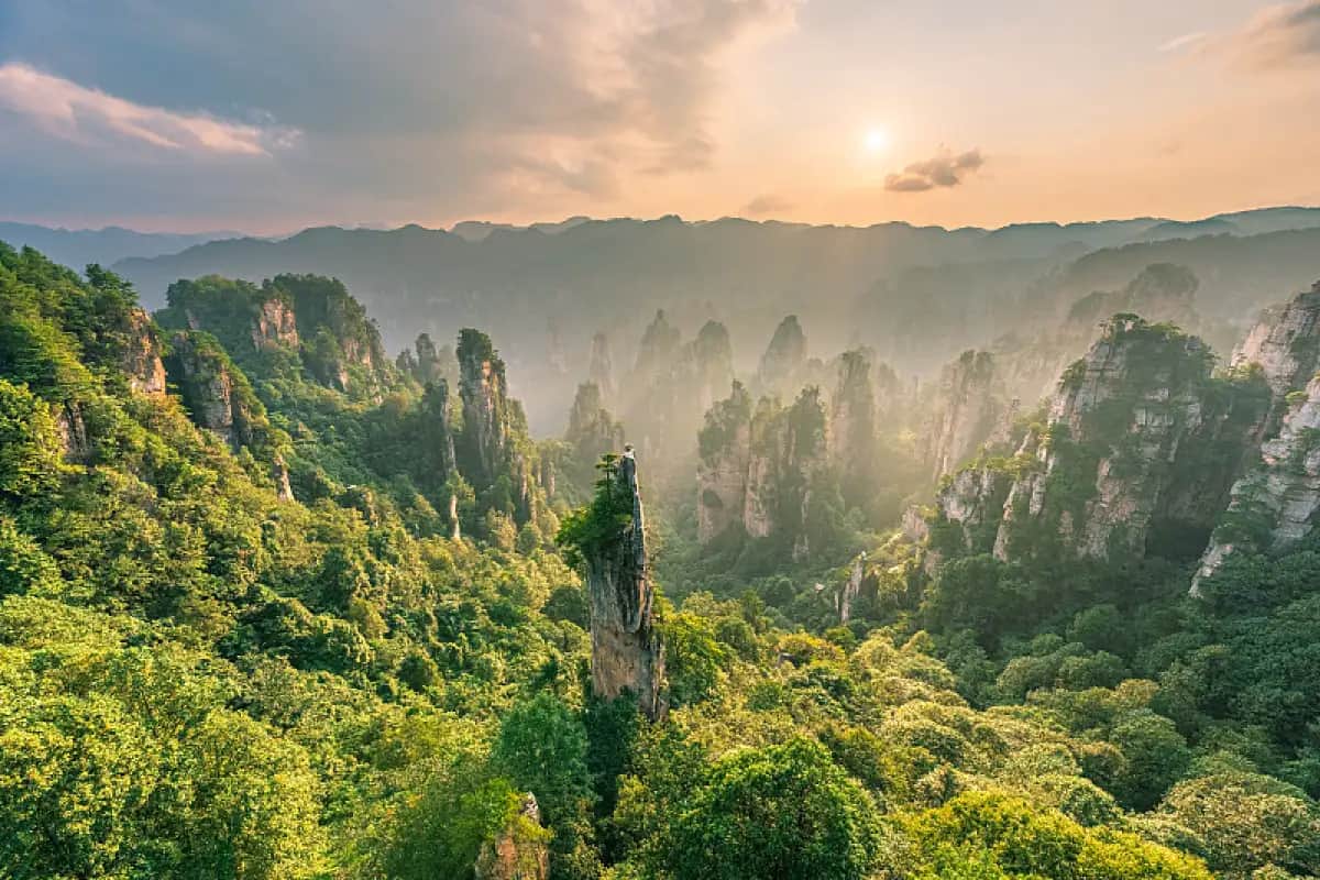 1-Day Zhangjiajie: Golden Whip Stream Hike, Avatar Peaks & Tianzi Summit