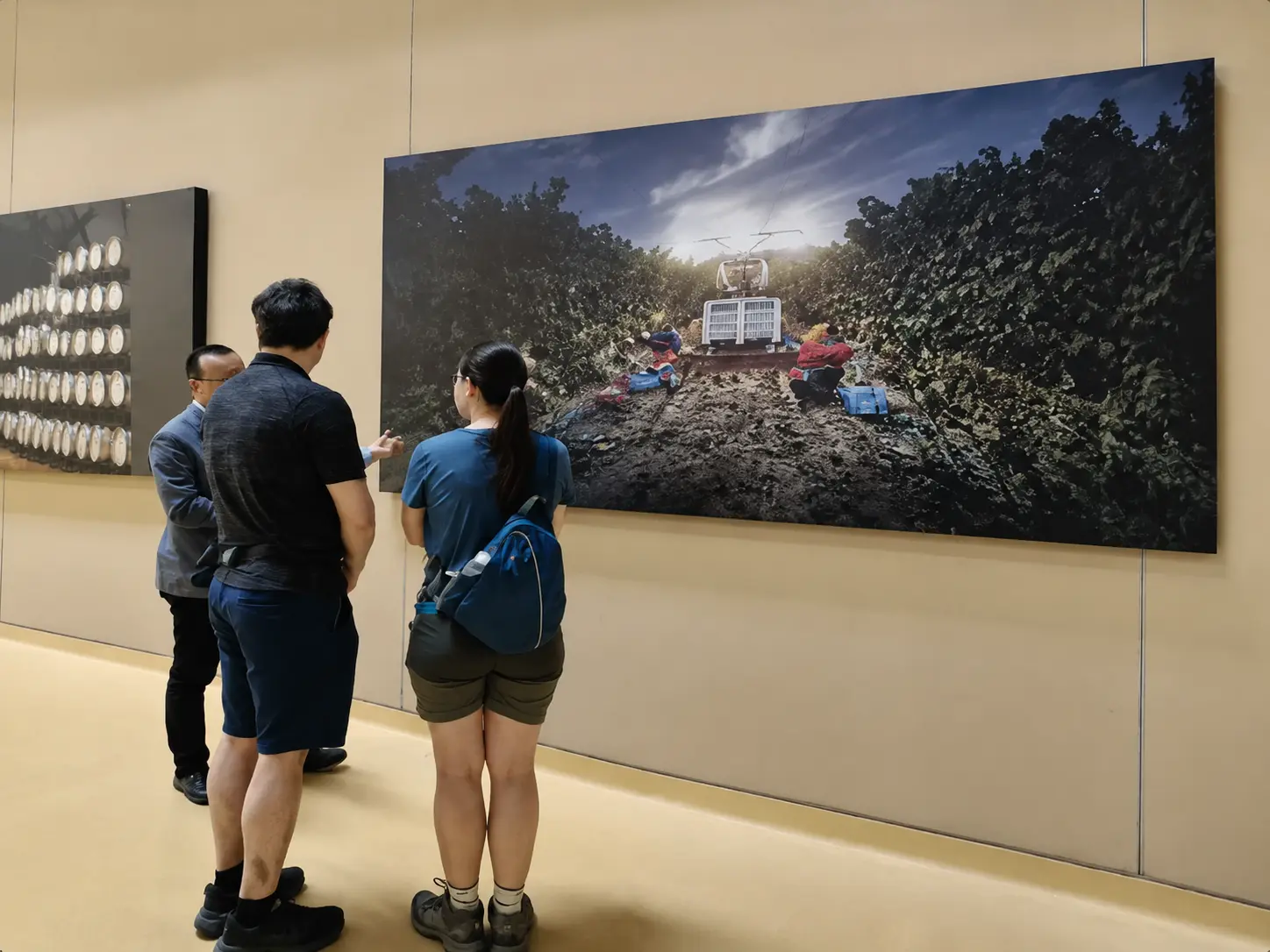 From Great Wall to Wine Country: Beijing Canaan Winery Experience