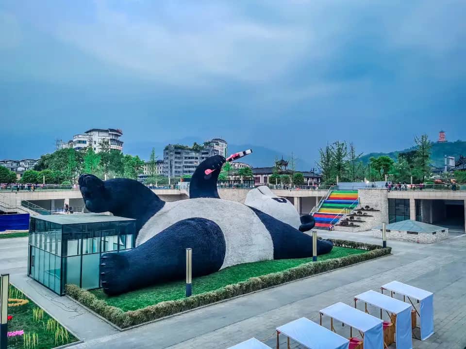 Chengdu Dujiangyan Panda Base Tour — Giant Panda Encounter & City
