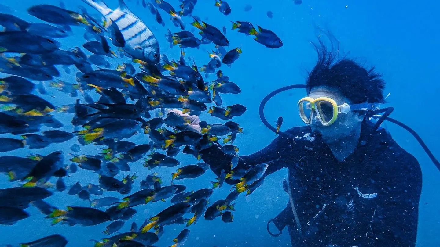 Forged in Fire, Alive in Blue: A Volcanic Dive