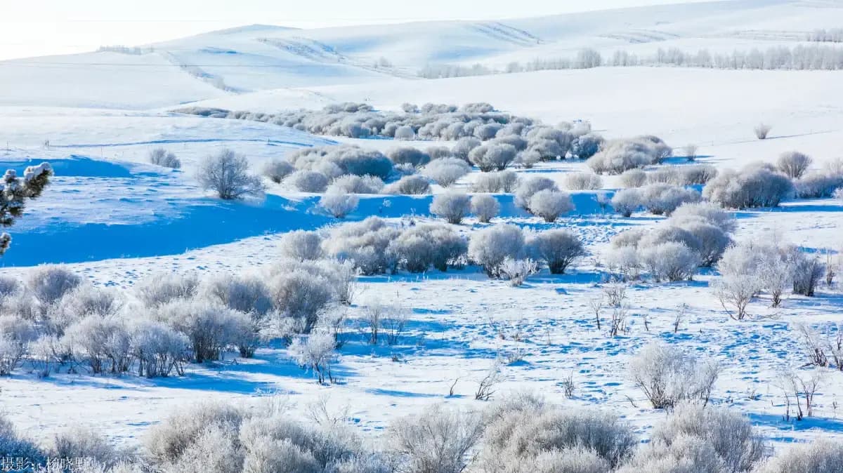 8 Days Inner Mongolia Snowland Winter Tour from Hailar