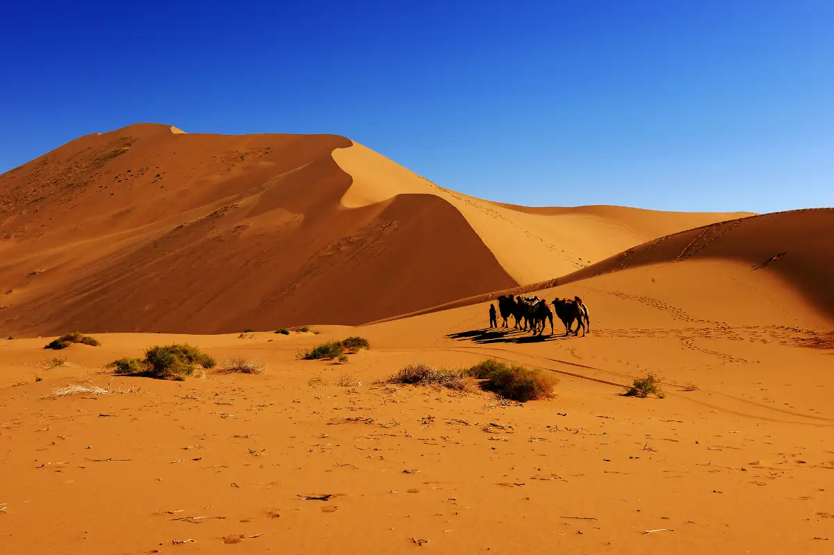 Bilutu Peak → Yinderitu Lake → Desert Starry Sky