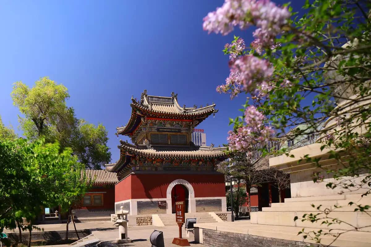 Inner Mongolia Museum & Five Pagoda Temple: Hohhot Day Tour