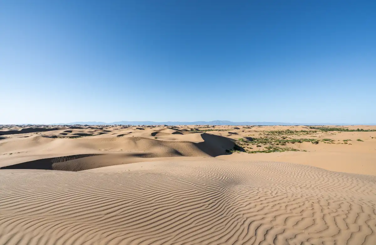 Desert Free Time