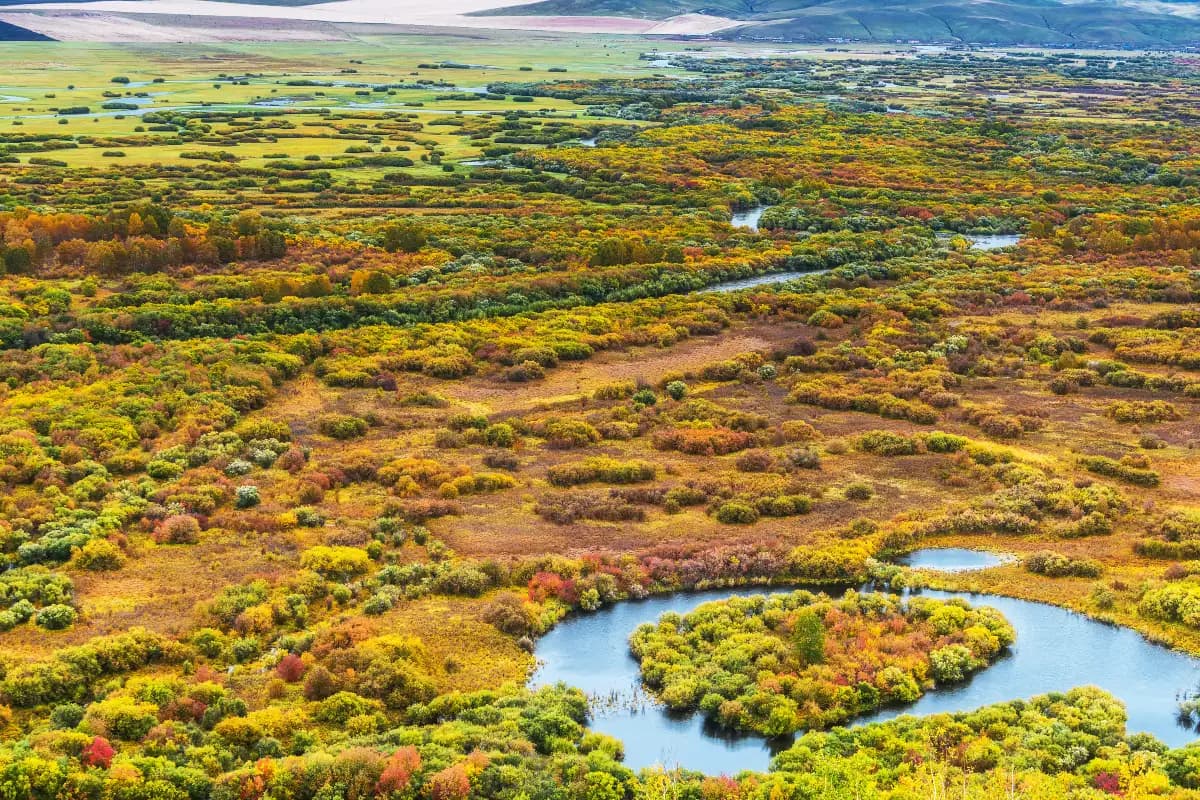 22 Days Inner Mongolia Grand Tour: Grasslands, Desert & Populus Forest