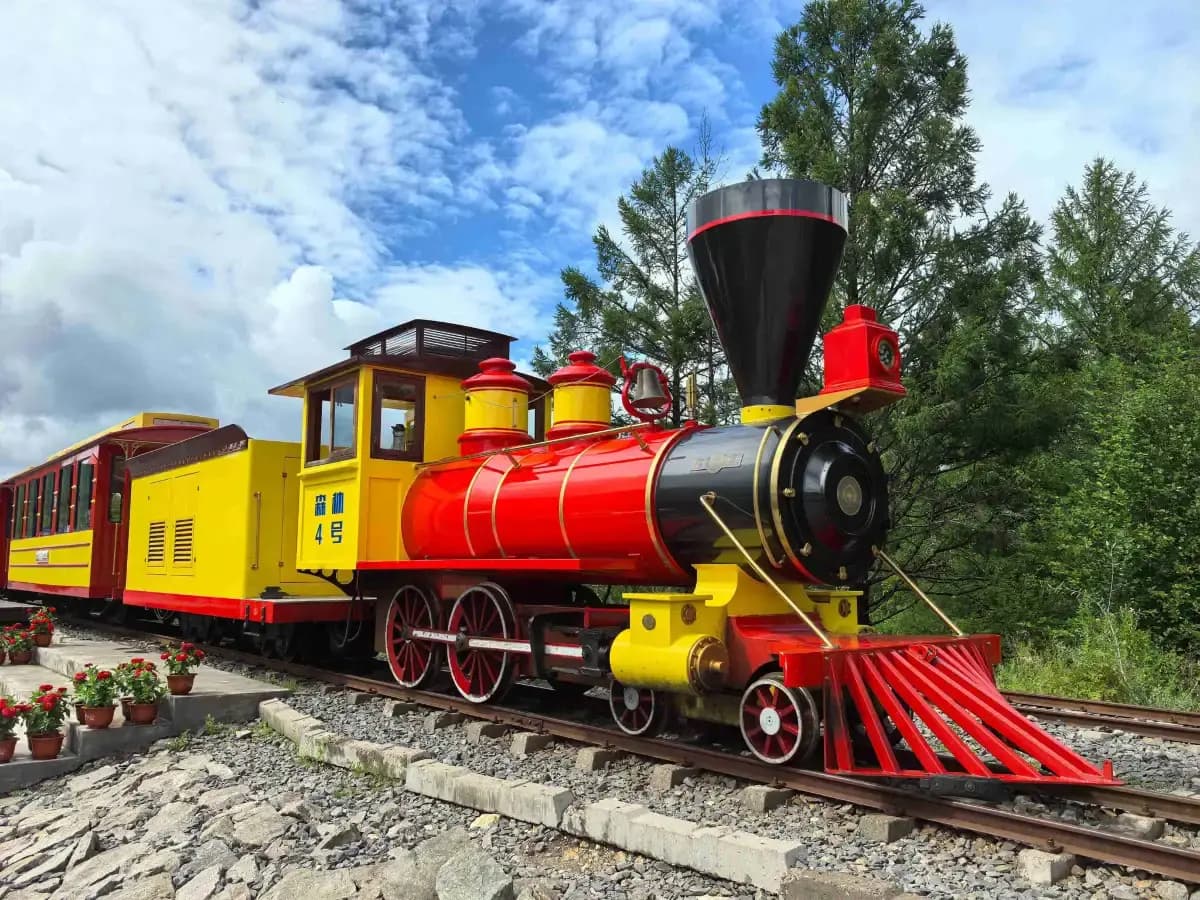 Forest Mini Train