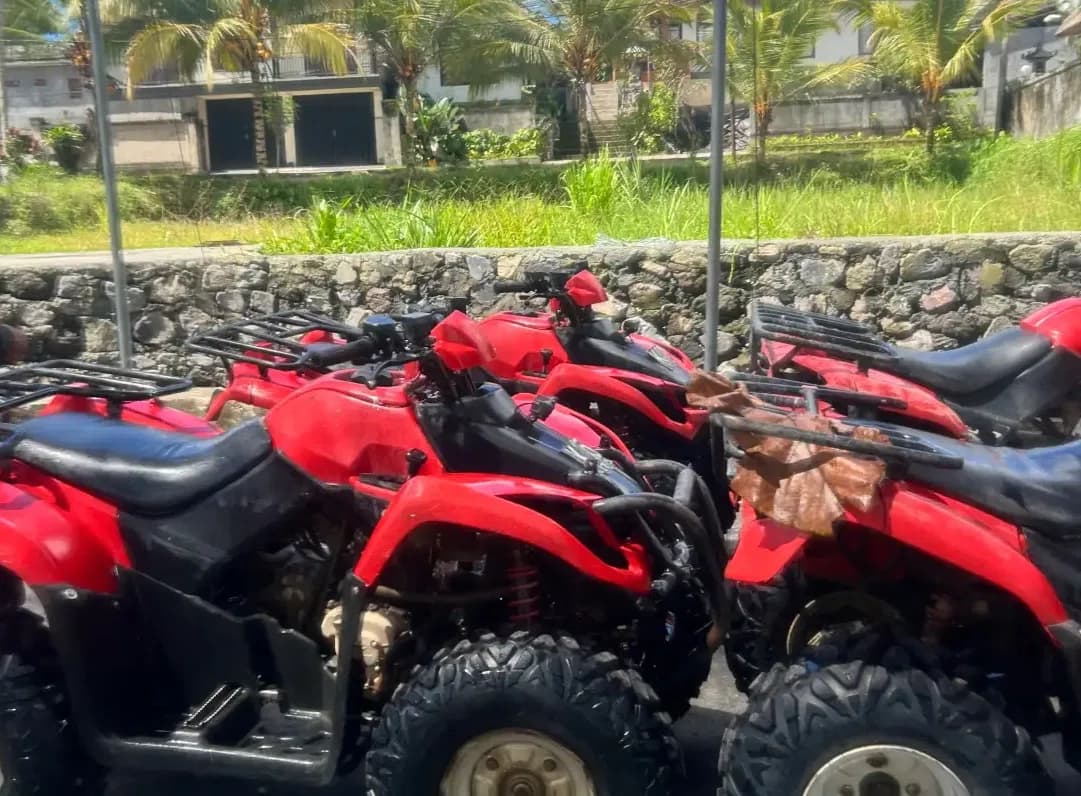 ATV Forest Crossing
