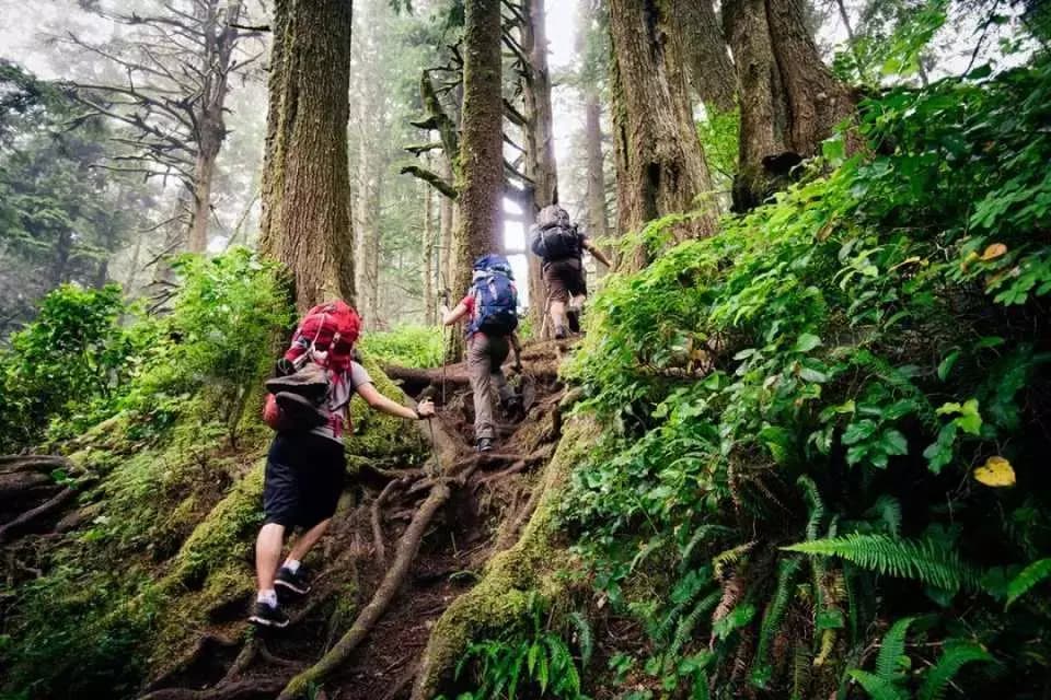 Jinuo Mountain Rainforest Trekking