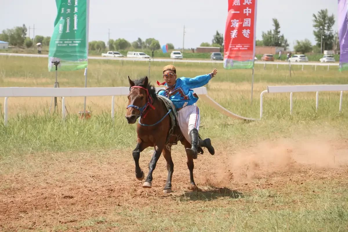 Equestrian Show