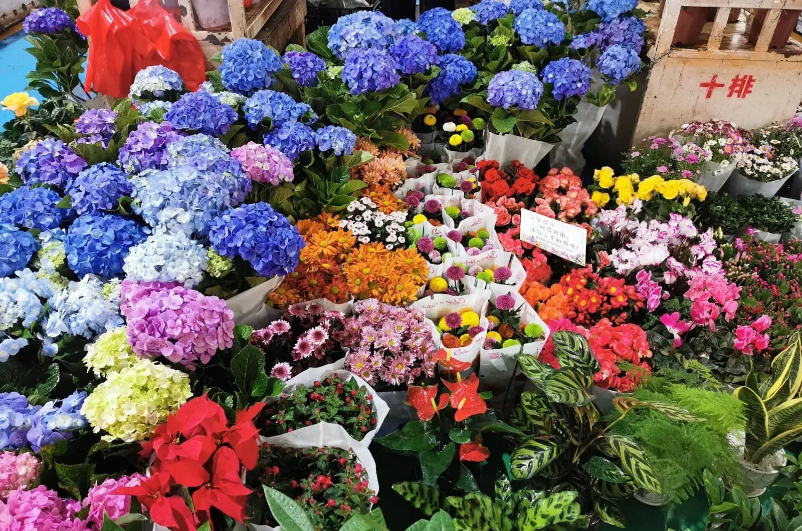Dounan Flower Market Night Tour (Guide & Private Vehicle Included)