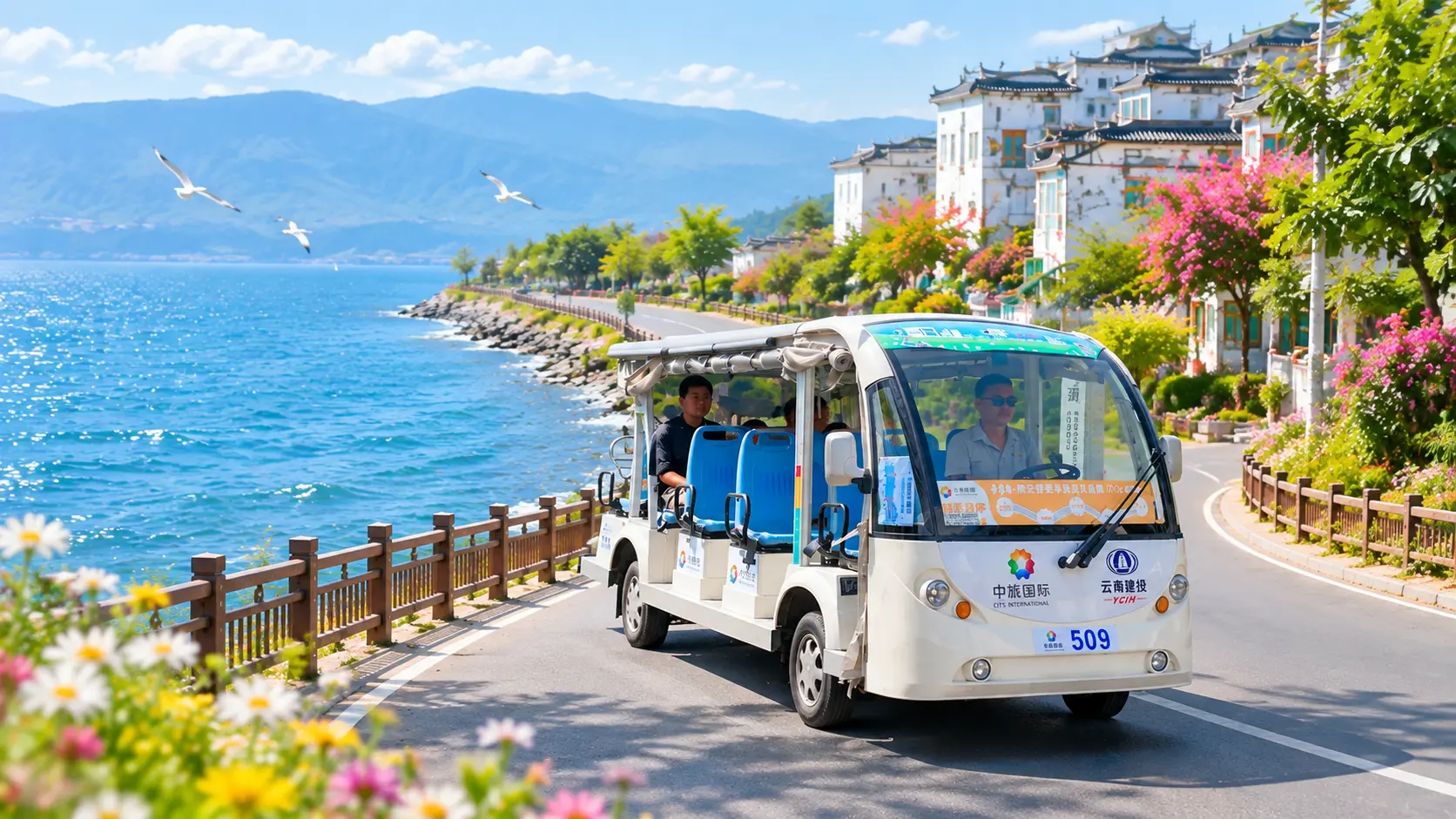 Erhai Lake Sightseeing Cart Tour
