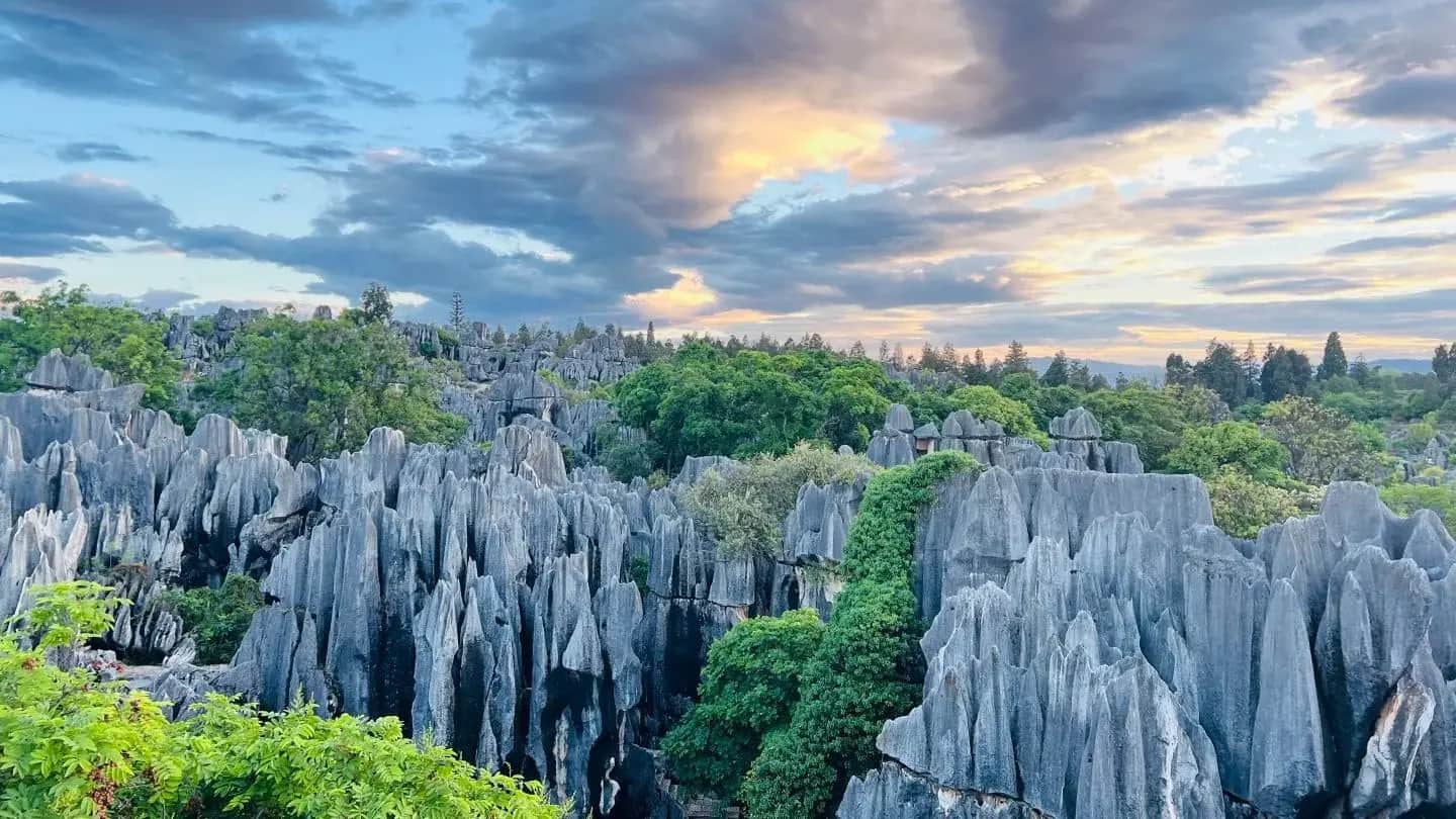 From Lakeside Views to Stone Giants: A Kunming Day Tour at Dianchi & Stone Forest