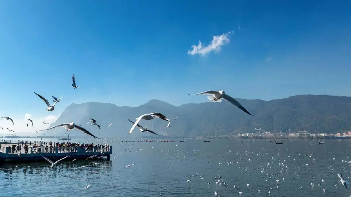 Dianchi Lake