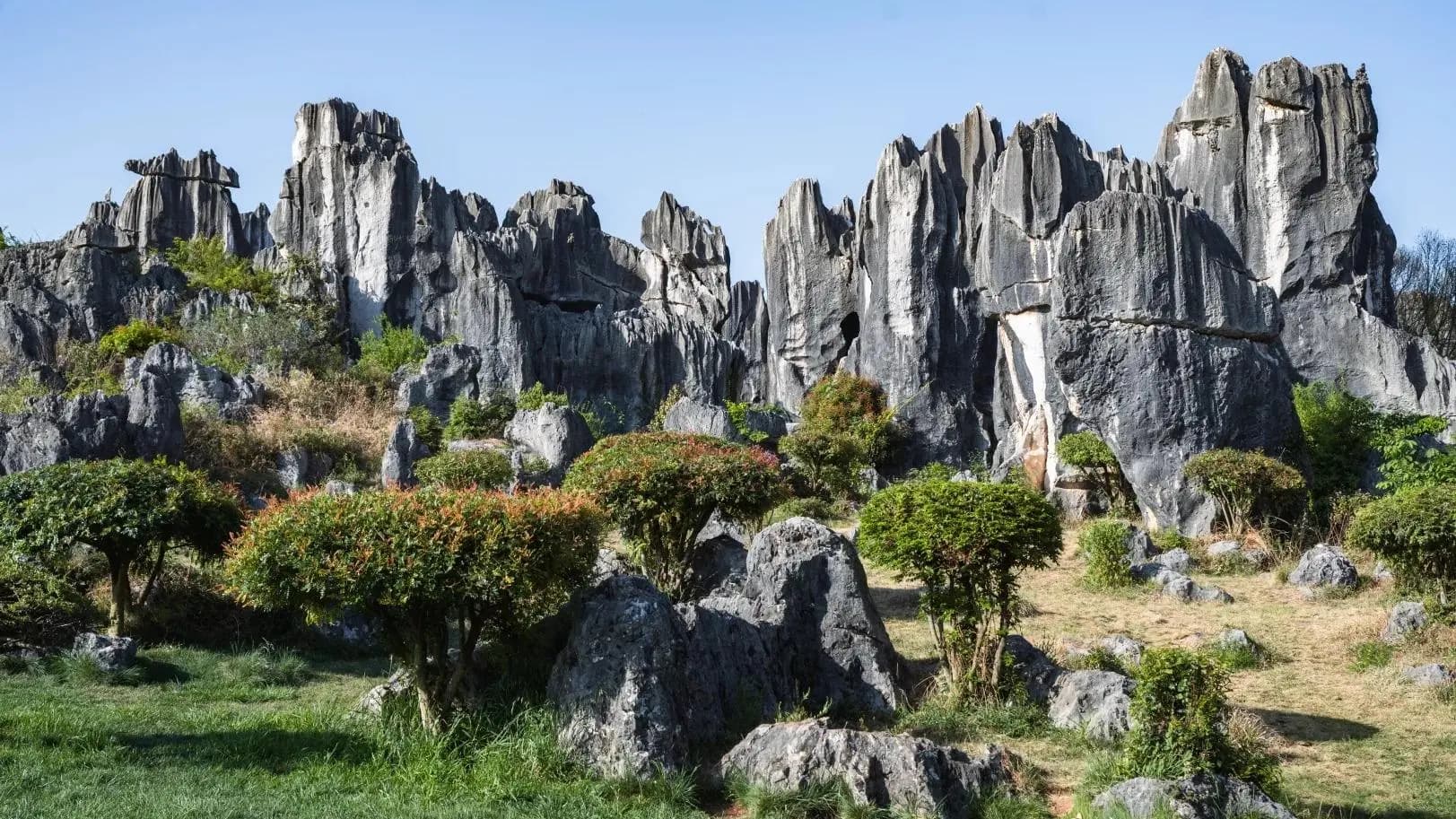 Stone Forest Scenic Area