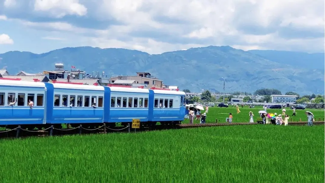 Xizhou Rice Field Mini Train