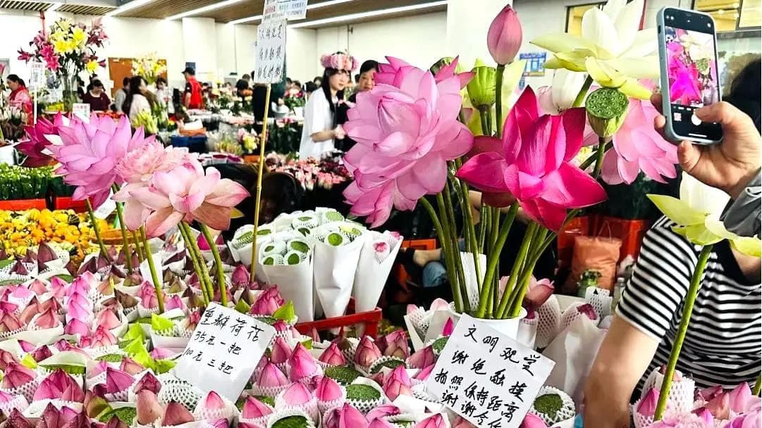 Dounan Flower Market