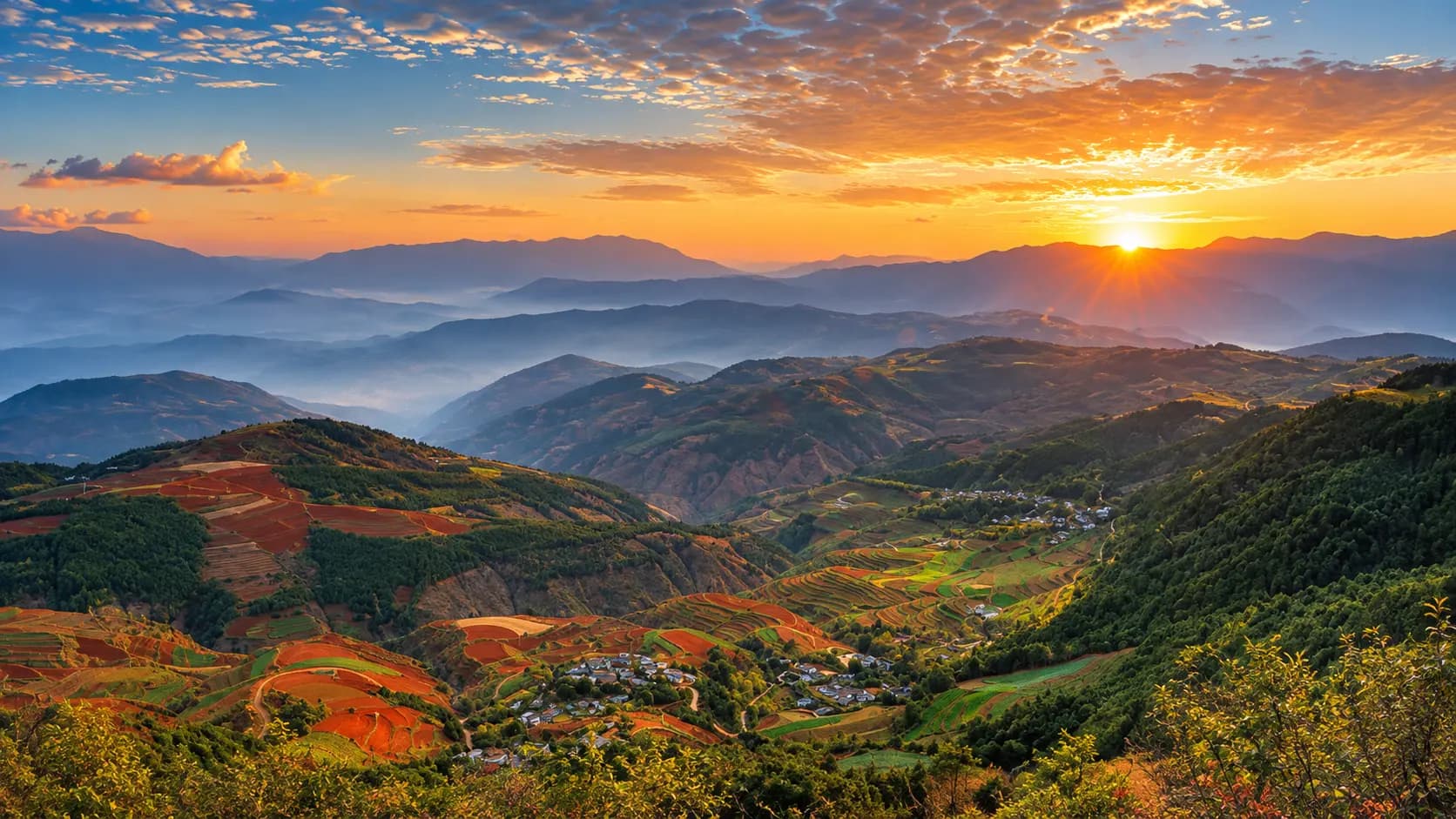 Damakan Sunrise