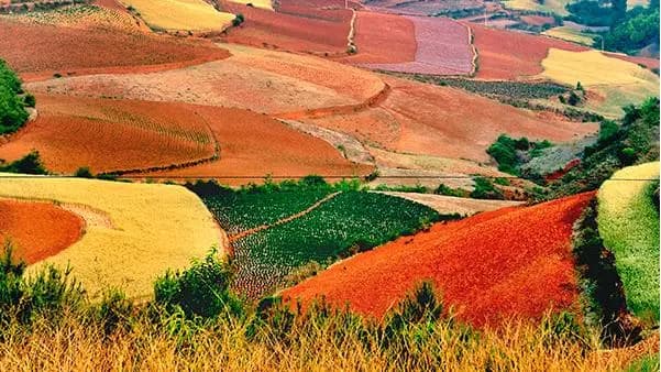 Colorful Slope