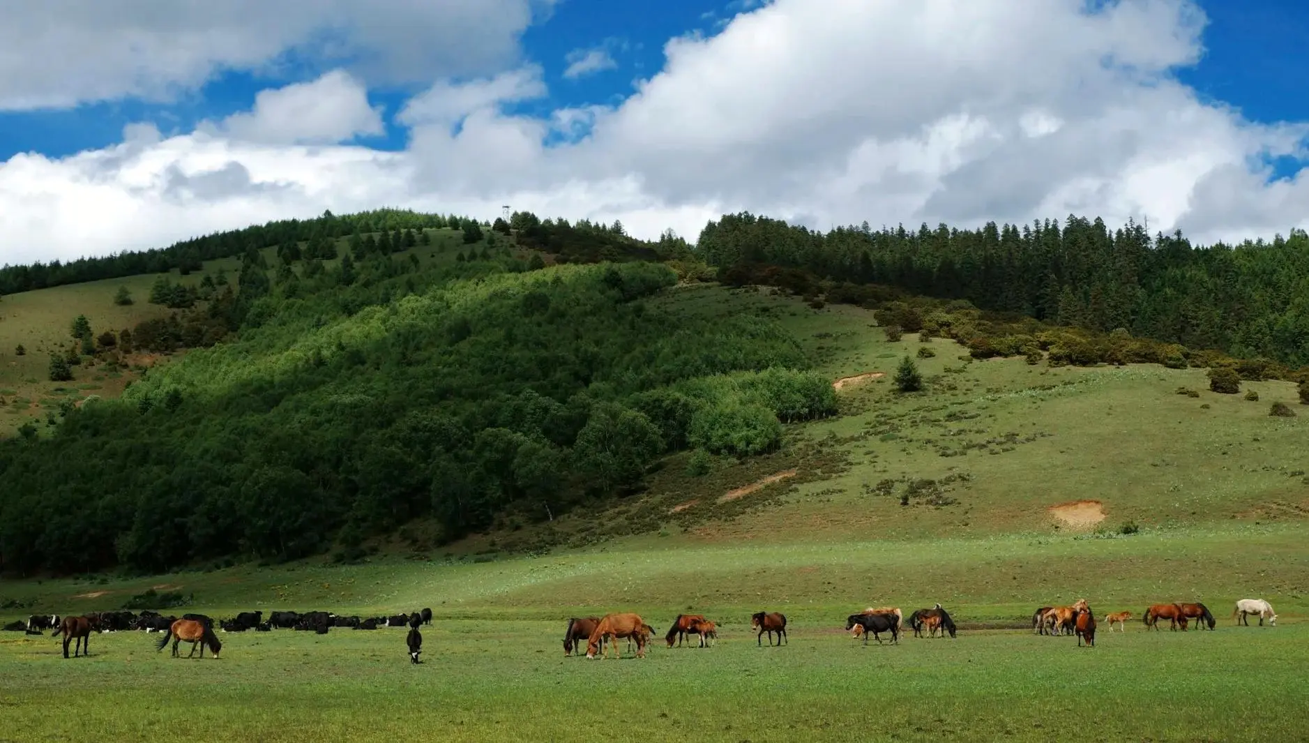 Pudacuo National Park
