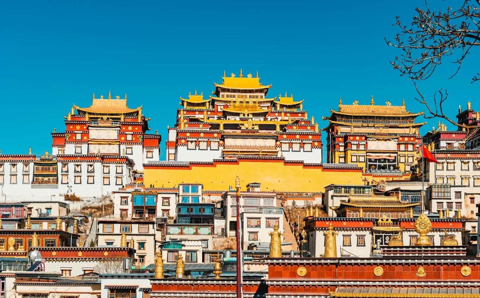 Shangri-La Yunnan Day Tour for an Immersive Tibetan Cultural Journey