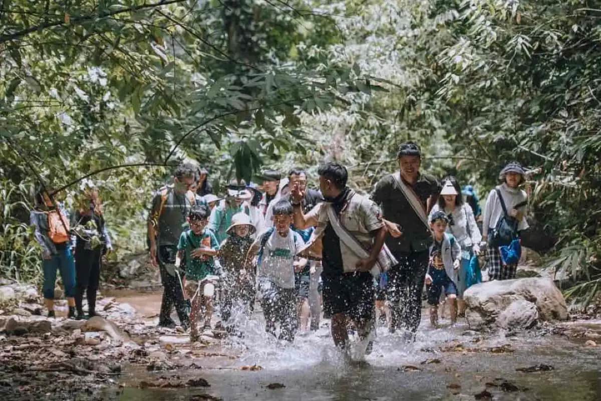Xishuangbanna Rainforest Trekking Day Trip – A Best Yunnan Tour for Nature Lovers