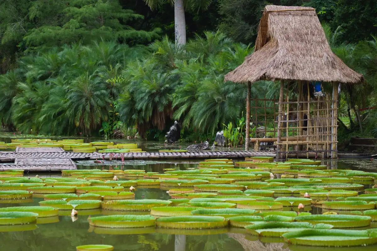 Xishuangbanna Tropical Botanical Garden