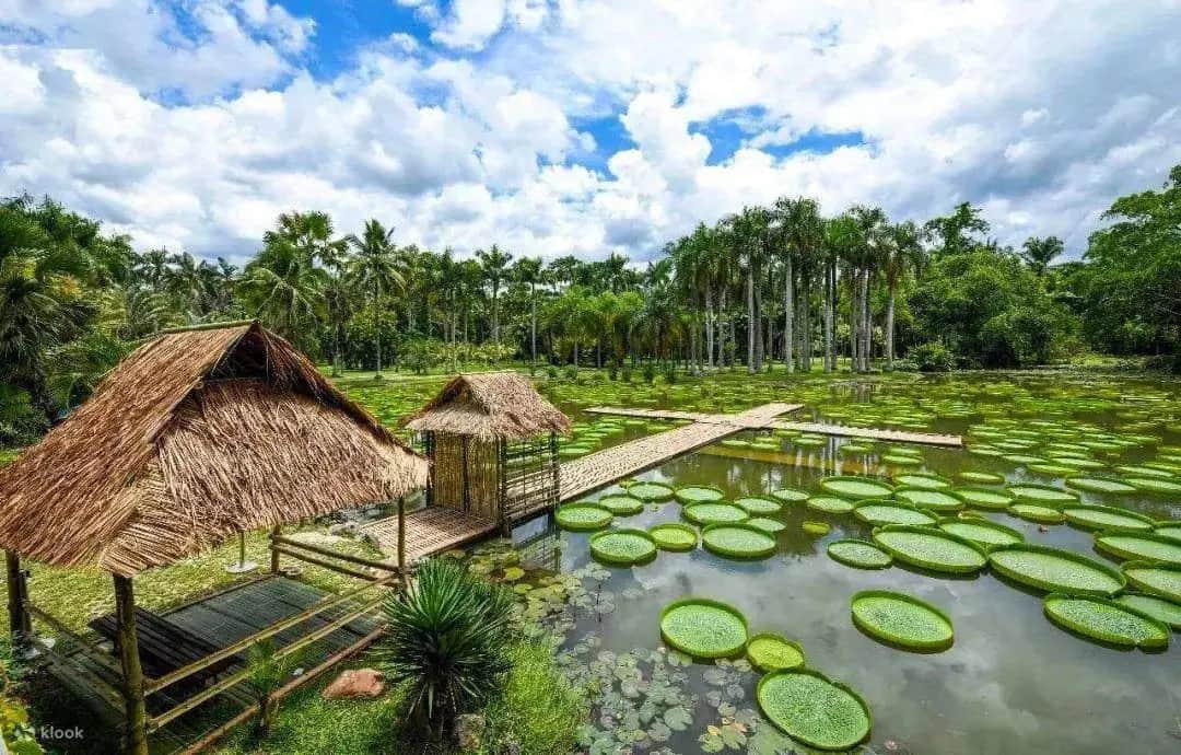 Private Yunnan Xishuangbanna Travel Day Tour: Tropical Botanical Garden & Dai Culture