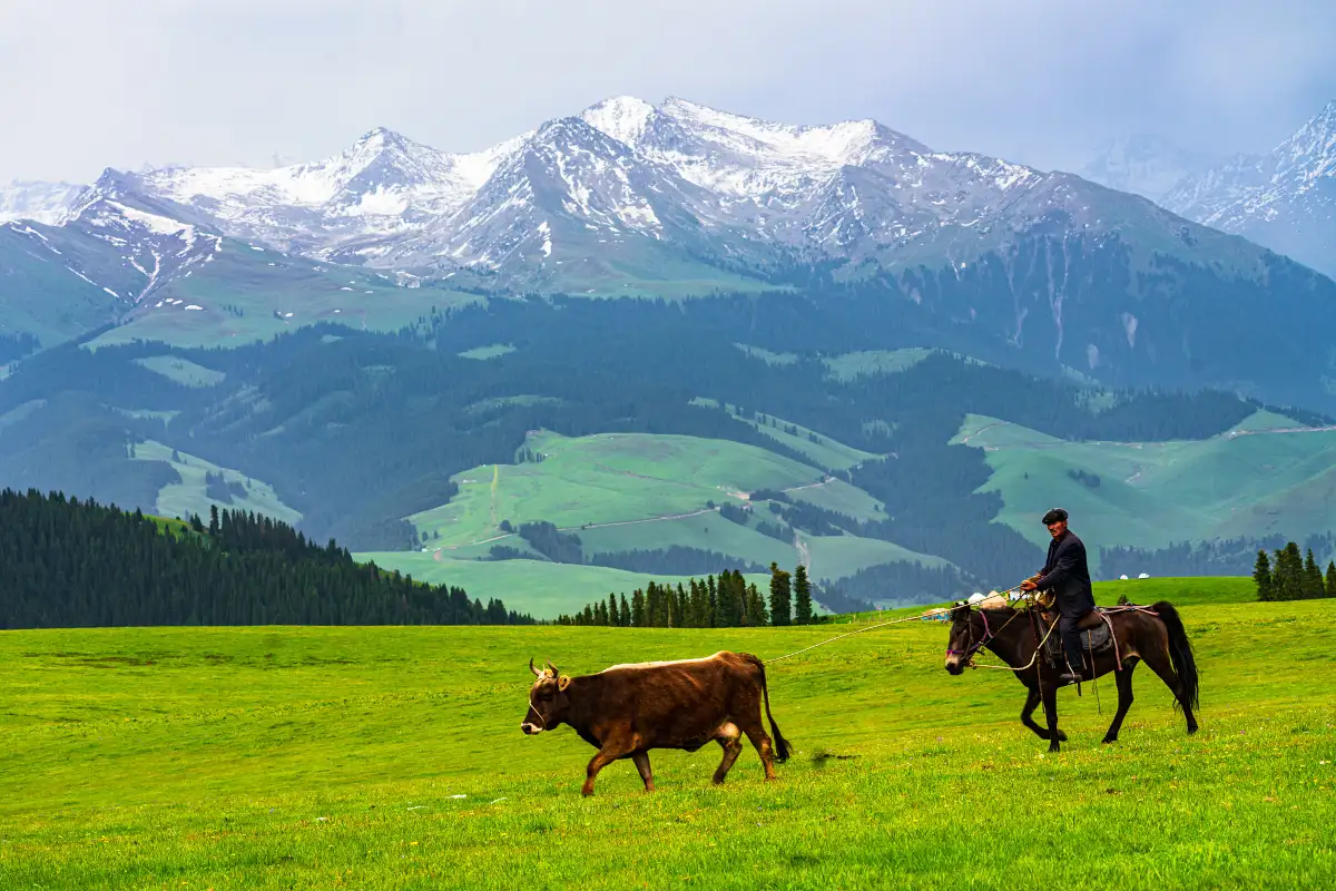 8 Days Northern Xinjiang Tour: Urumqi Sayram Lake Kalajun Grassland