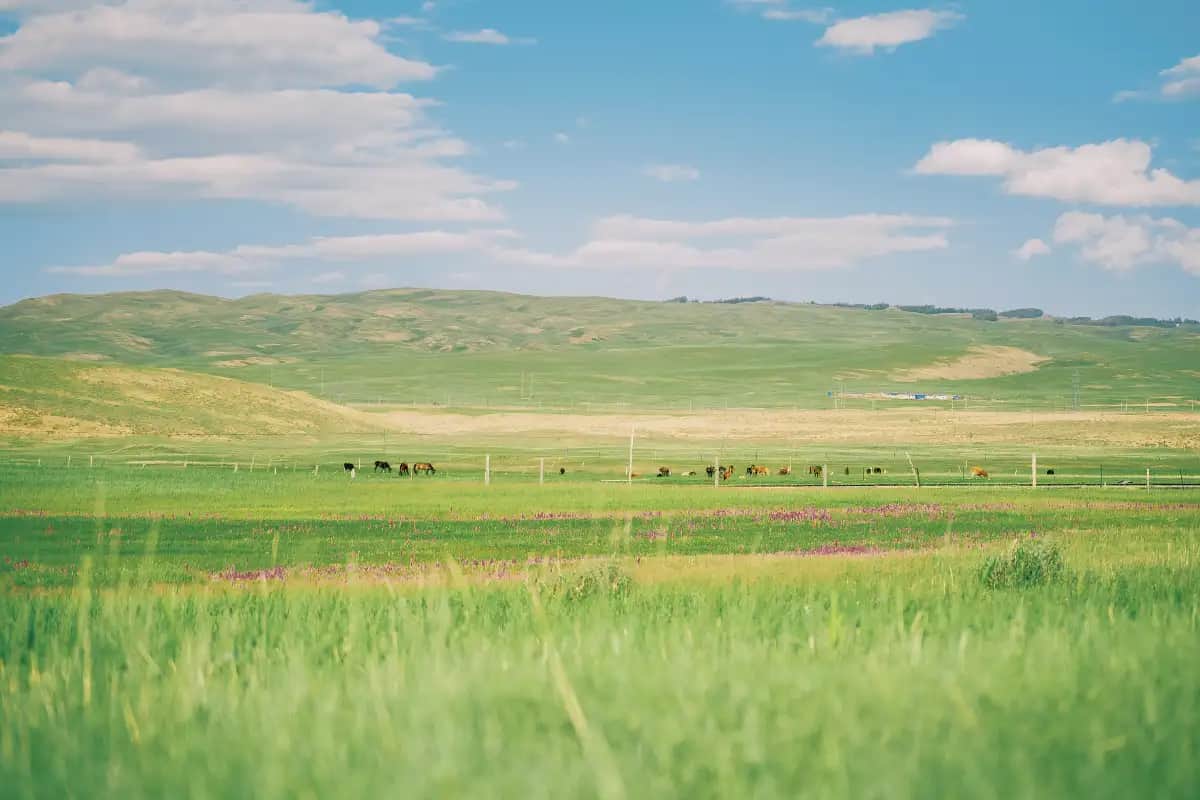 7 Days Eastern Xinjiang Wonders Tour: Turpan, Desert, Barkol Grassland, Heavenly Lake