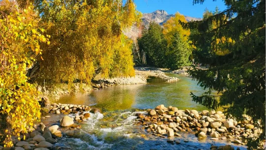 7-Day Xinjiang Altay Secret Tour from Urumqi: Keketuohai, Ahe Highway, Hemu, Kanas, Burqin