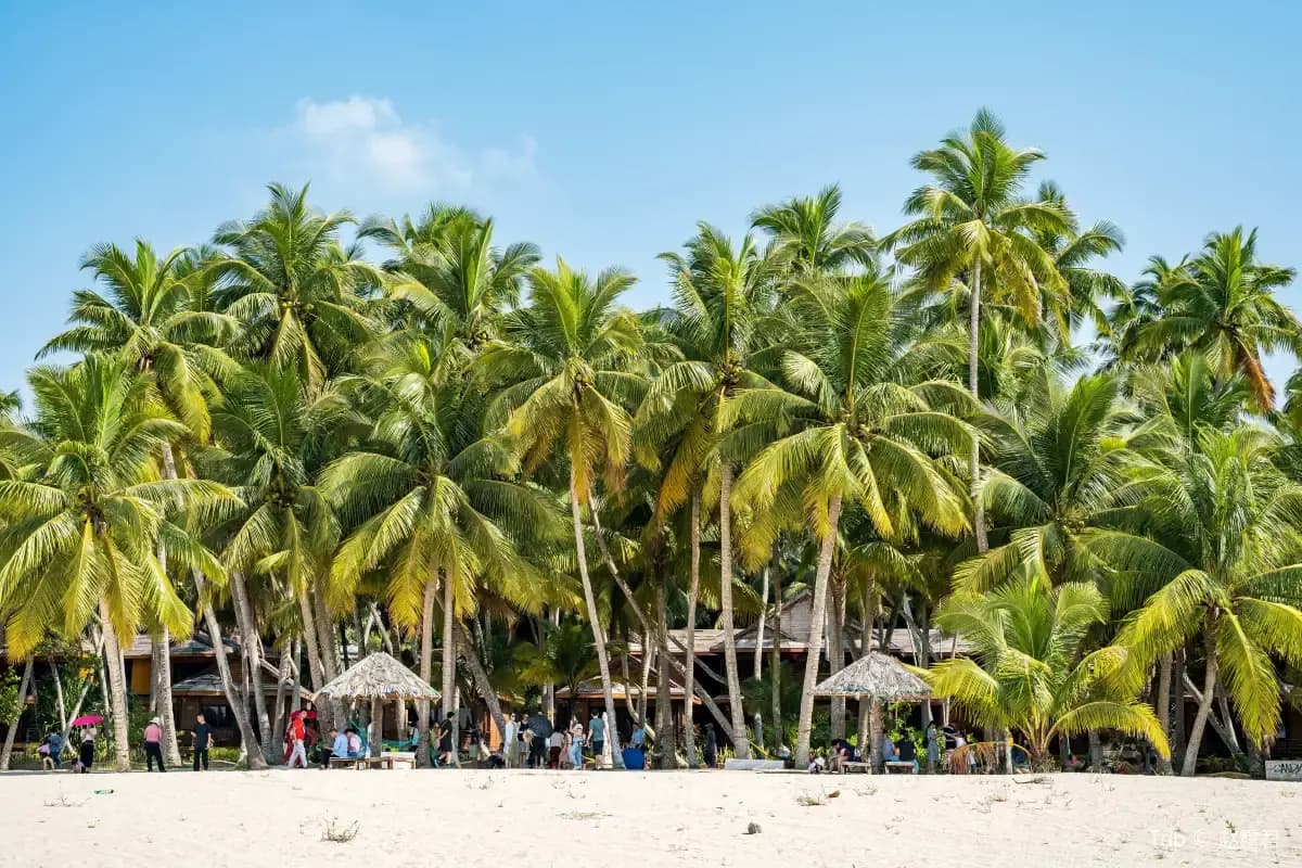 8-Day Hainan East Coast Tour: Haikou, Wenchang, Boao, Surfing, Monkey Island & Wuzhizhou