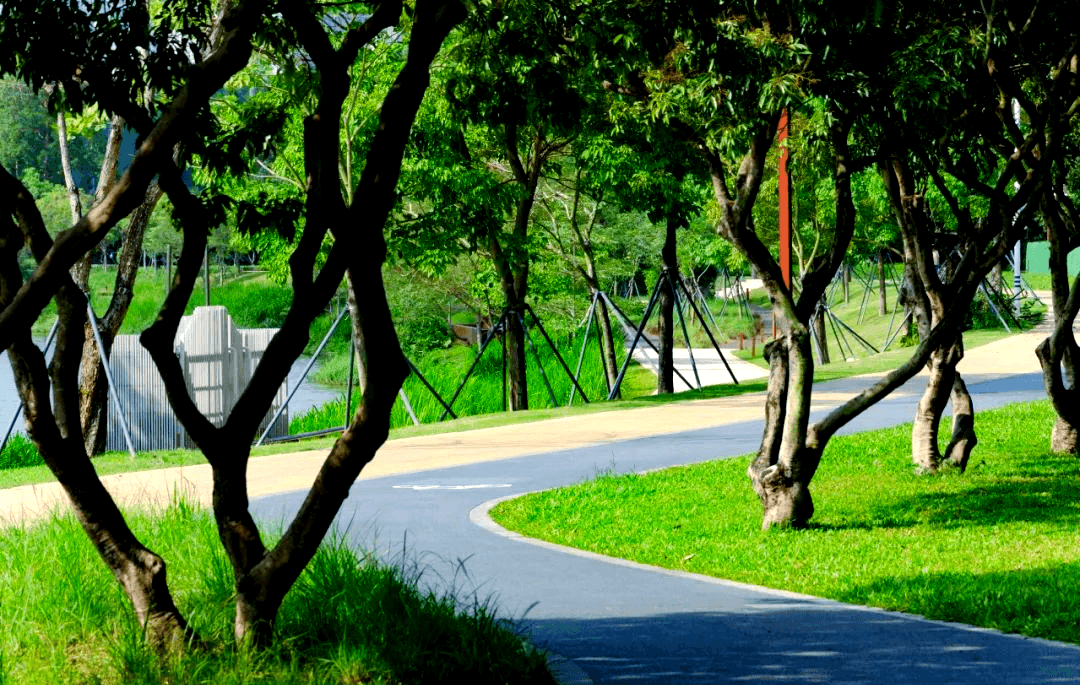 Yantian Seaside Greenway