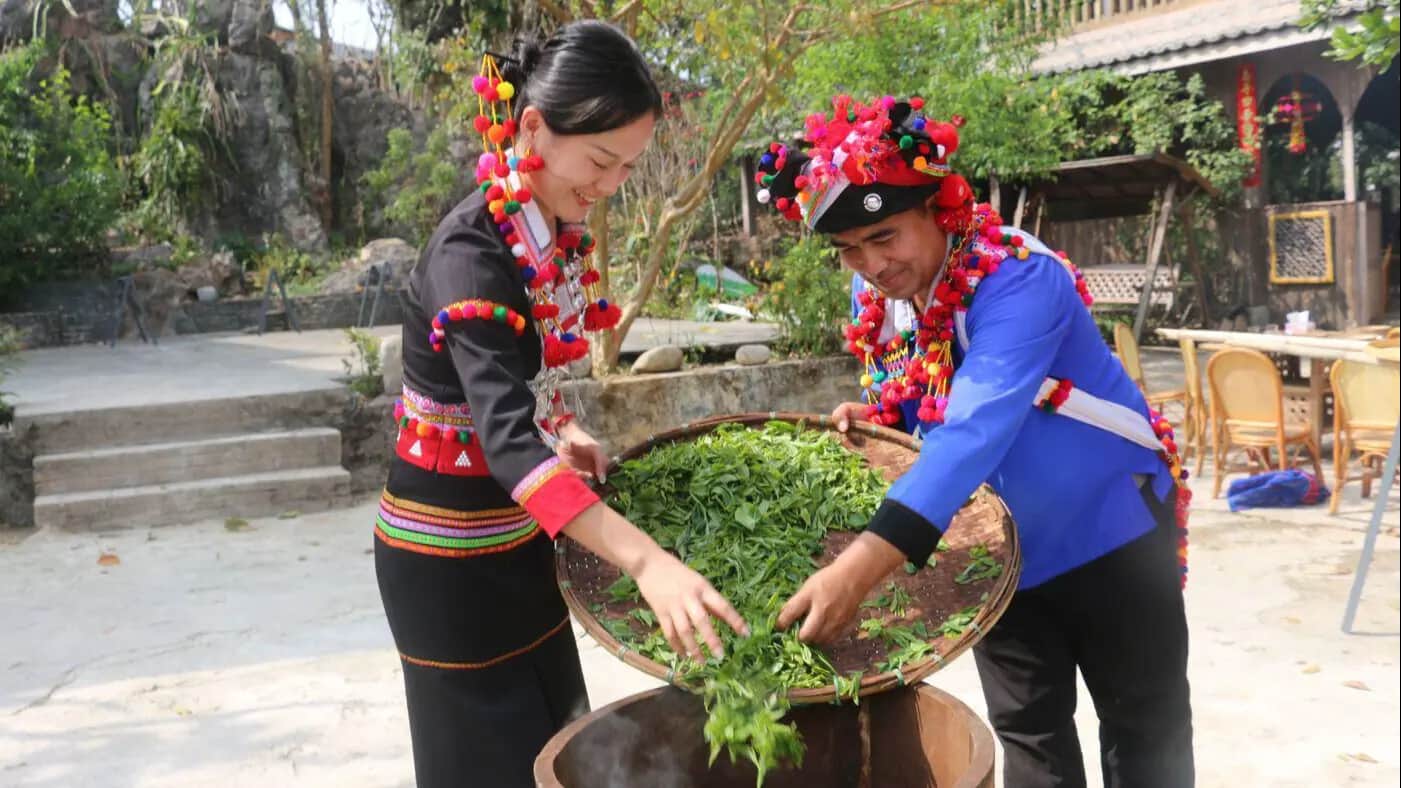 Taste, Learn, and Make Tea on a 1-Day Xishuangbanna Tea Tour in Yunnan
