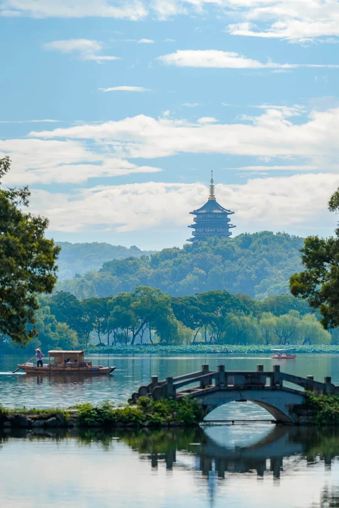 A Day of Serenity in Hangzhou: West Lake Landscapes & Tea Village Retreat