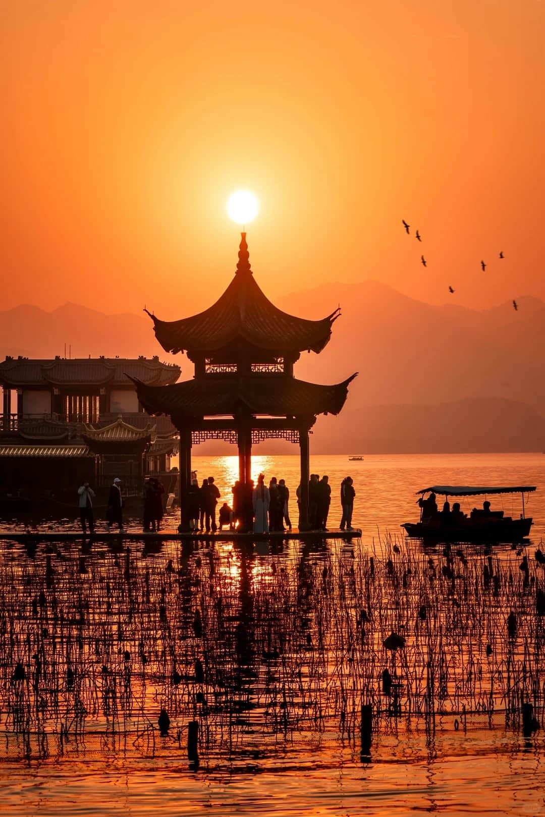 6-Day Hangzhou & Wuzhen Cultural Journey: West Lake, Tea & Jiangnan Heritage