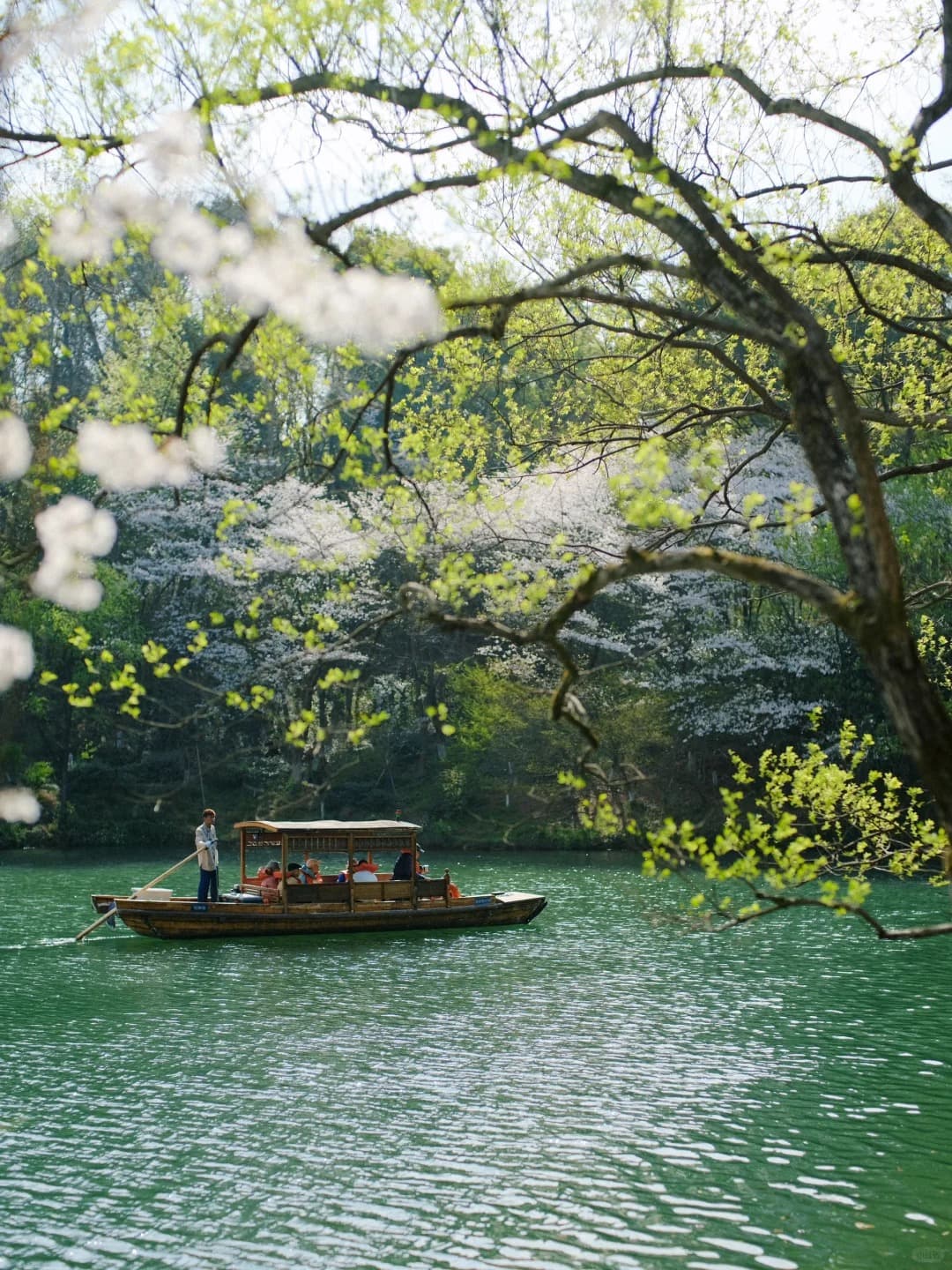 West Lake Private Boat