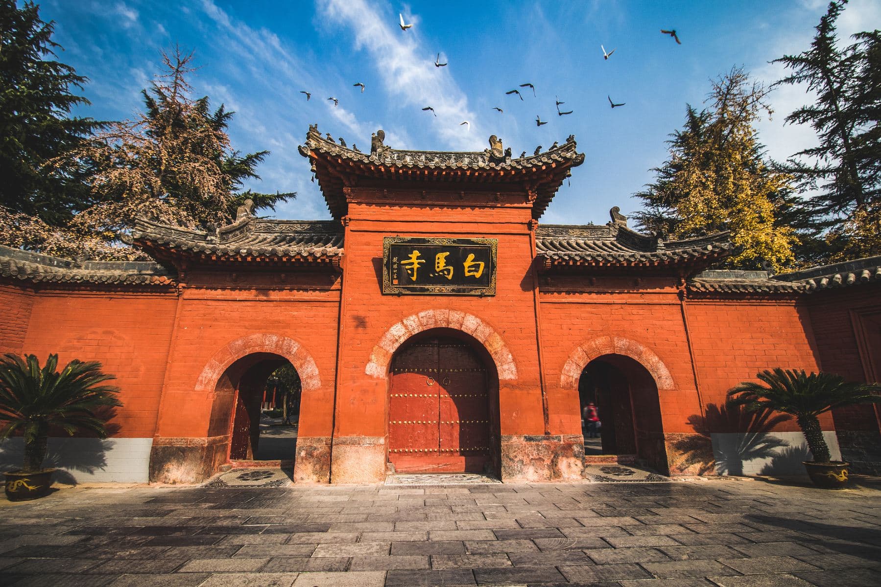 Luoyang City Tour: Insider’s Day Journey Through Sacred Heritage & Local Stories
